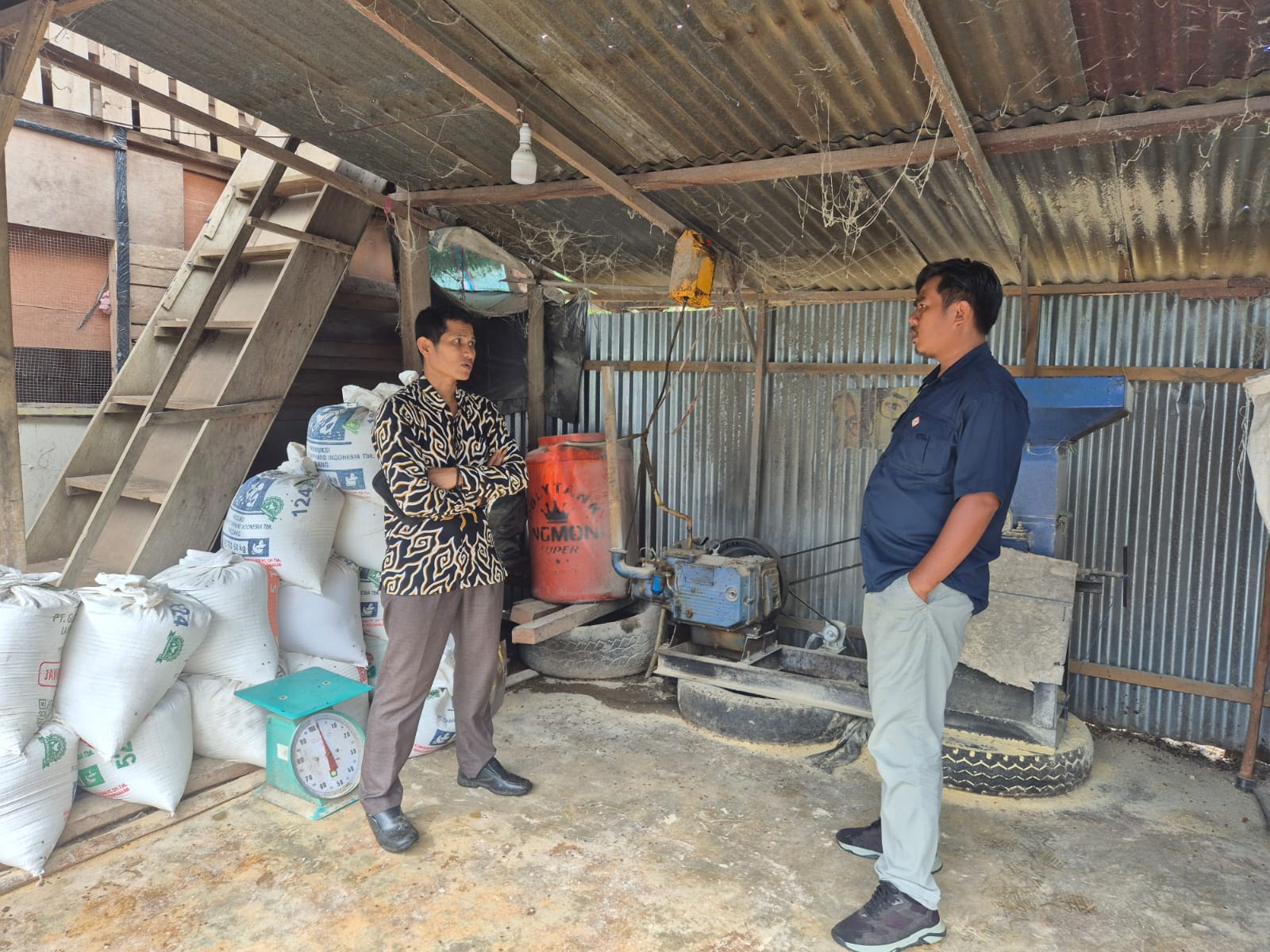 Direktur BUMNag Madani Lubuk Malako Kunjungi BUMNag Sehati Lubuk Gadang, Pelajari Budidaya Ayam Petelur dan Produksi Pakan