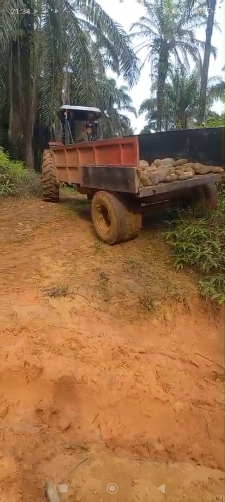 Pengangkutan Batu Guna Perbaikan Jalan Perkebunan Sawit Koperasi Produsen Madani