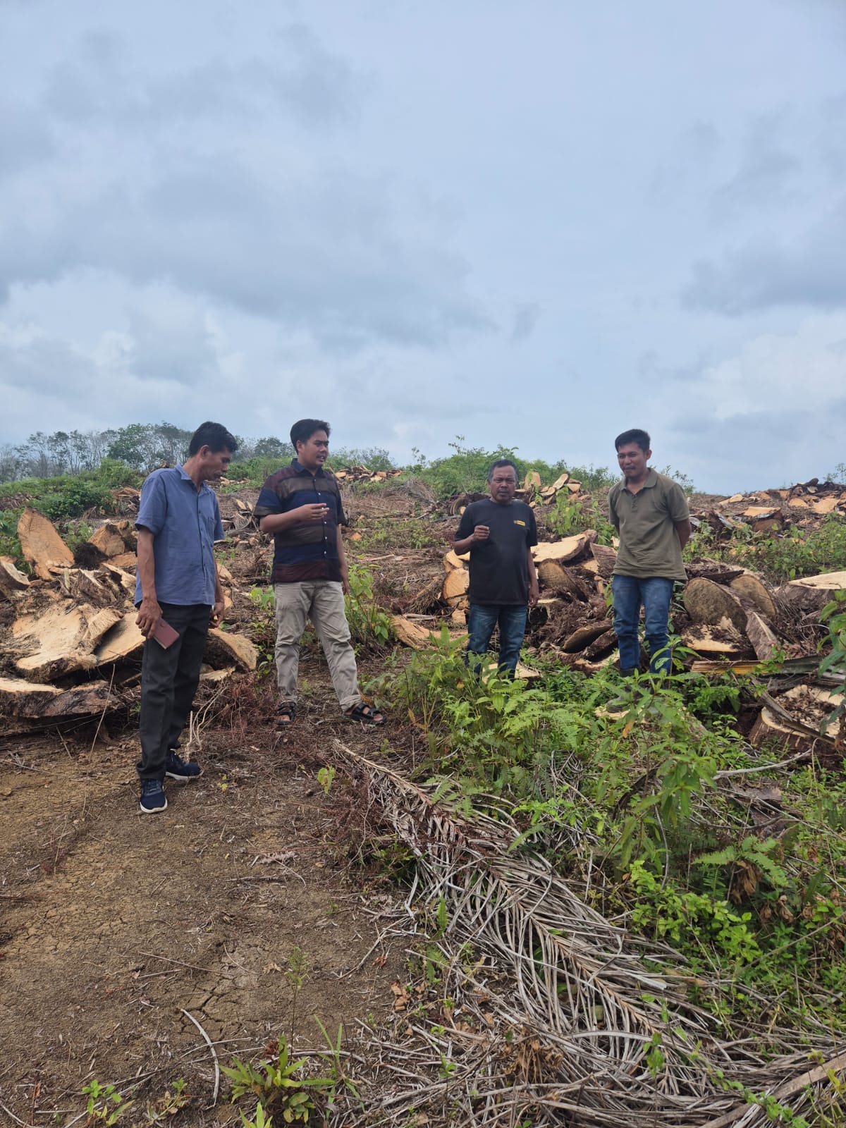 Kunjungan Tokoh Masyarakat Tinjau Progres Tumbang Chipping PSR Koperasi Produsen Madani Lubuk Malako
