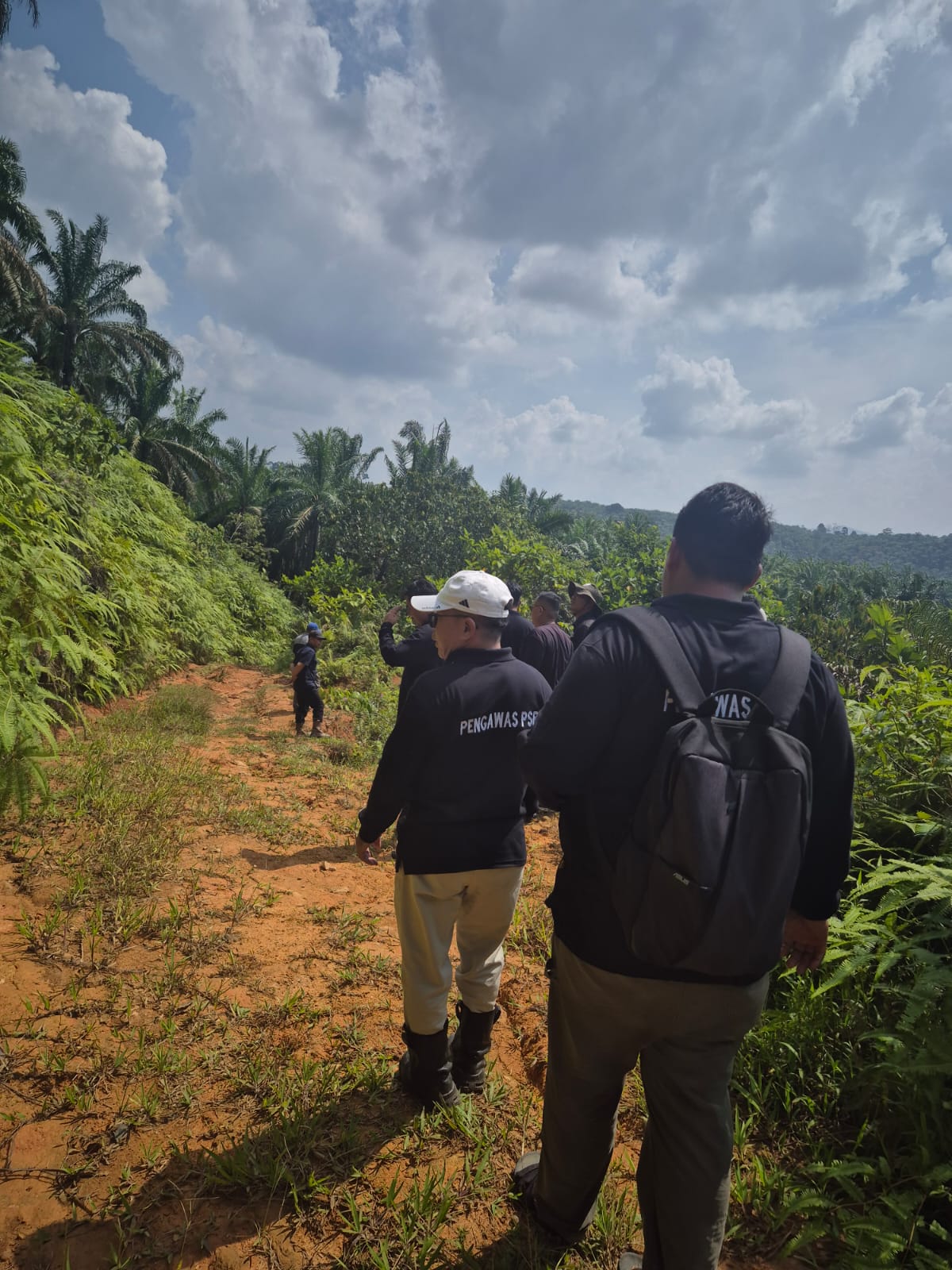 Program PSR Koperasi Produsen Madani Terus Berjalan, Persiapan Lahan Dipercepat
